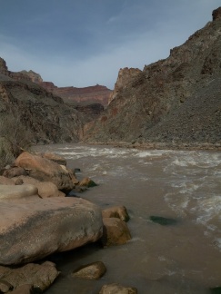 IMG_20130315_095408.jpg
